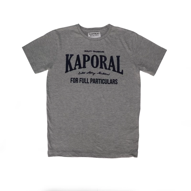 Men's Striped Round Neck Half Sleeve Cotton T Shirt Gray Color