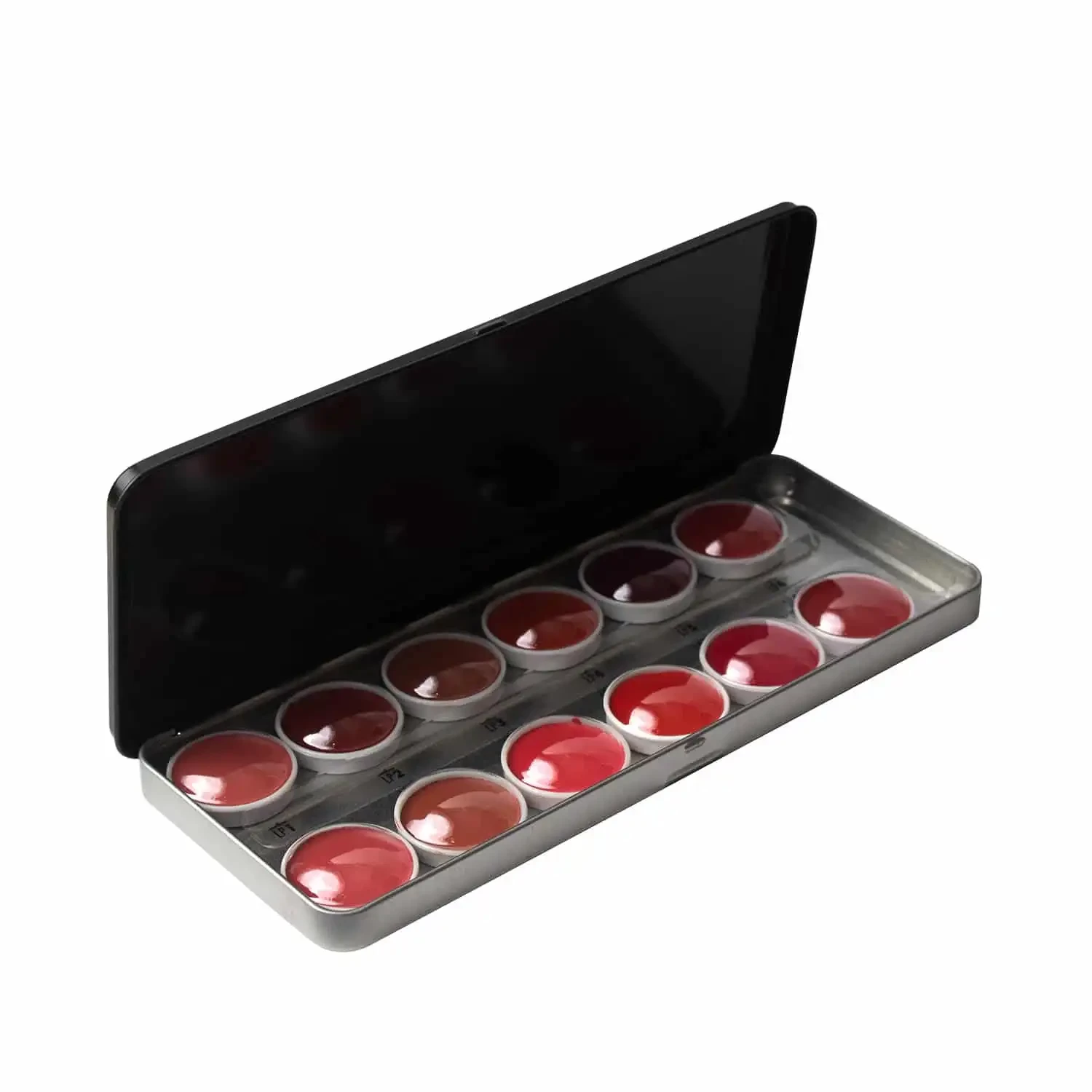 PAC Pro Lipstick Palette X12